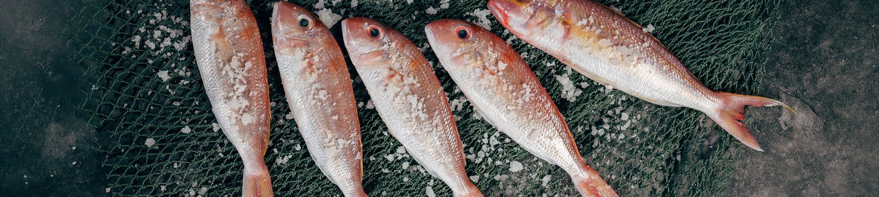 Peștele și terapiile nutriționale